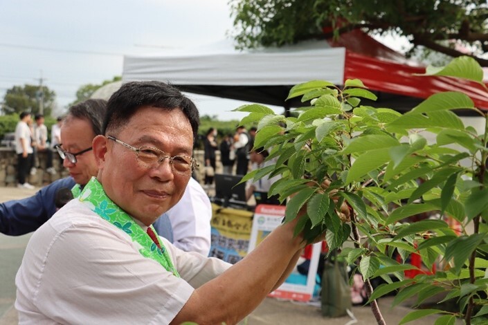 圖片6.副校長劉鳳錦為畢業生的祈願送上祝福後,將祈願卡片掛至祈願樹上。林郁翔攝圖片
