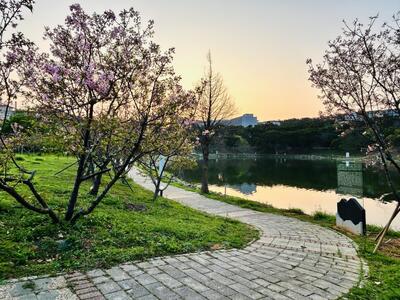 八甲校區文學步道 (2)