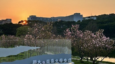 文學步道櫻花林