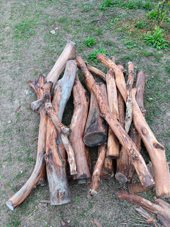 圖12.大家上過『木竹工藝』課程後都成為SDGs的支持者及推動者圖片