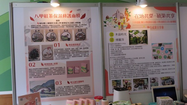 青年洄游計畫