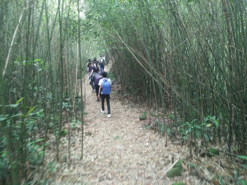 山林芬多精圖片