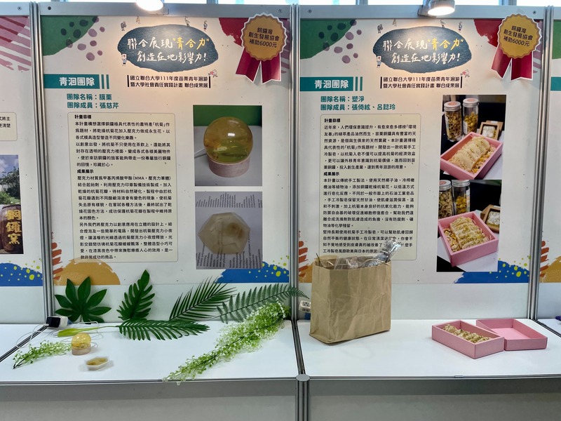 青年洄游計畫圖片